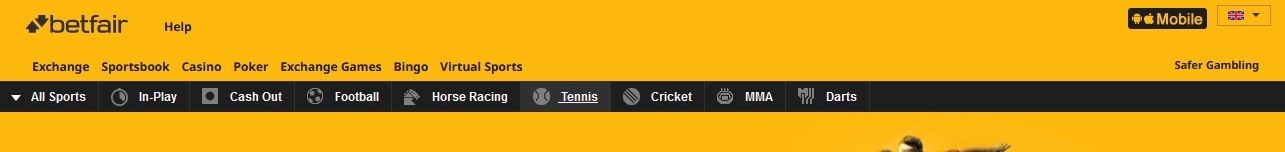 Верхний баннер сайта Betfair